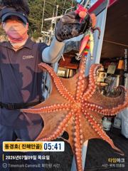 동경호~ 돌문어금어기해제일 실시간( 오늘오후4시예약가능) 사진
