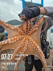 7월 10일 청신호 돌문어 조황 연속 홈런으로 마감 쿨러조황 대박일까? 사진