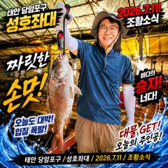 7.11 성호좌대 조황소식 사진