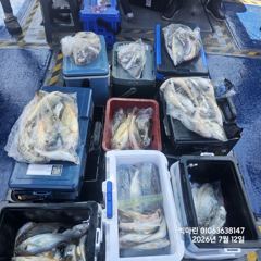 무창포 백조기 No.1 ' 프로낚시 ' 7.12( 일 )<<<<< 빅 마 린 >>>>> 백조기 조황보고... 사진
