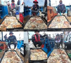 <여수뉴피닉스호> 문어전투  <<  다음주 황금물때 놓치지 마세요 >> 21일(화)부터 수,목,금, 자리많아요~ 사진