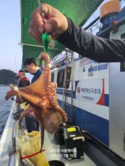 삼천포 문어낚시! 주간반, 야간반 매일출조! 사진