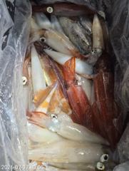 대포알 왕한치 밤새. 입질. ᆢ 오늘 내일. 쭉~ 예약가능  사진
