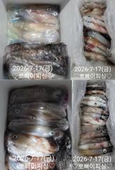 17일)한치~한치!! 물폭탄.좋아요!!(한치일요일~예약가능/준내만갈치 예약받습니다) 사진