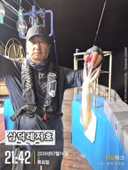 [한치] 대포한치,중소,만쿨,반쿨(토요일소수인원황제낚시 출항확정) 사진