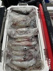 [왕한치]먹물파티갑니다~!! 일요일부터 예약가능! 일월화수 쭉 예약가능합니다^ㅡ^ 사진