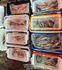 한치,먹물폭탄 손맛 보러 오세요,내일자리여유(토~예약가능)   사진