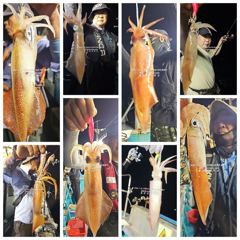 [통영대교피싱]간밤 조황 토요일 1자리있어요  사진