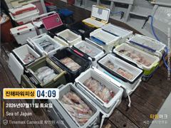 우당탕탕[한치~한치]달려봅니다[토.일]예약가능 사진