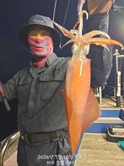 17일이항 한치 조황입니다^^ 일요일 5자리여유 사진