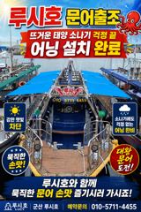 [루시호] 군산권 문어 소식 사진