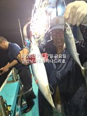 야간 왕고등어~오늘도 갑니다~고등어,삼치,등~실시간~ "끝내주는 고등어"출조~~금요일부터 매일출조~~군산 나드리호 사진