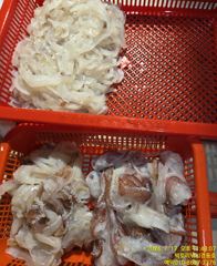 빅토리점경동호 한치다녀왔습니다. 오늘.내일자리여유 사진