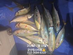 군산킹스타호(7/17)야간고등어 마무리(계속해서 출조합니다 ~) 사진