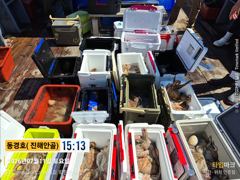 동경호~7월11일 돌문어조황 사진