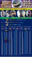 ♥ 붉바리들..이정도는 잡아봐야지요 대박 붉바리조황입니다[2026년07월19일] ◎ 해마루호가 뜨는이유? 조황때문이죠 ◎ 핵심포인트: 바로진입.. 바로히트.. ▣ 차원이 다른 조황으로 모십니다 ▣ 요즘 붉바리낚시가 대세입니다 사진