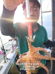 7월19일-문어 문어 실시간 조황입니디 사진