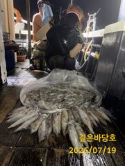 [제주 깊은바당호] 7월 18일 한치 조황입니다 사진
