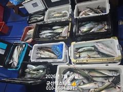 군산킹스타호(7/18~)야간고등어 마무리조황(계속해서 출조~) 사진