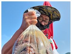 19일(일)역시나~오네요.왔습니다!!돌문어씨알역대급!!마리수도 따븡!!27일(웧)부터  자리여유있습니다  사진