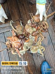 동경호 7월 19일 철수조황 사진