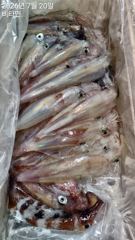 한치 화,수,목,금~//문어 금, 토, 일~ 예약가능 