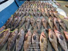 고흥.거금박프로호 붉바리외수질 전문선사조황  사진