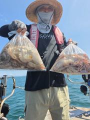 800g에서 900g  수두룩 사진