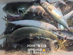 군산킹스타호(7/22)야간고등어 출조일에~ 사진