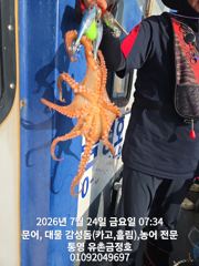 통영 금정호 문어선상 묵직하게 챙겨가십니다 일요일 오후타임 자리있습니다