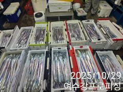 봉돌투척기 사용합니다 사진