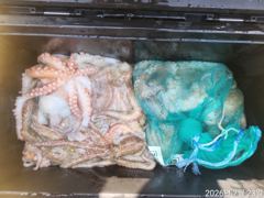 돌문어 kkk장원30수 퍽퍽퍽퍽 여지없이 쪽쪽쪽 마리수 사진