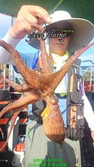 24일 돌문어 실시간 2kg 연타로 시작 해봅니다  사진