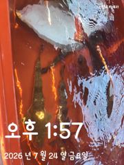 타이라바 사진