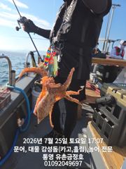 통영 금정호 오후문어도 묵직하게 잡았습니다 내일오후자리있습니다 사진