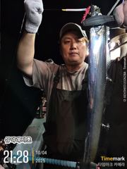 [갈치] 31일 금어기 해제일 한치,갈치 병행출조 합니다 
