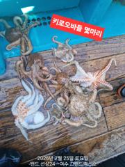 7월25일 나로도권 2키로부터 ~~~키로.키로오바들 35수정도  사진
