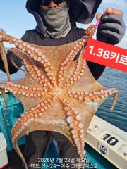 7월23일 돌문어조황~~~나로도권ㅡ2.4키로부터 키로.키로 오바들로 나로도권 피딩도보고. 사진