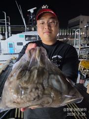 삼천포 마린보이 7.25. 토요일 풍성한 마릿수 야간문어 뜯고 왔습니다. 사진