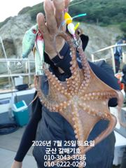 7월25일 갈매기호 야간 문어 조황 사진