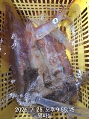 ((왕대포한치))대포한치 청기백기 원피투피쓰리피 쿨러만땅 오늘(예약가능자리완전텅텅  사진
