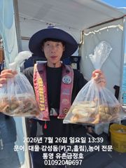 통영 금정호 내일 오전문어선상 자리있습니다 사진