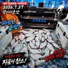 [광어조황] 7.27 하와이호 광어다운샷 조황소식 사진