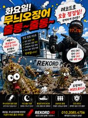 레코드호7/26무늬오징어 크게 더 크게 찍어드려요 사진