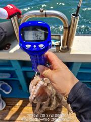 7월27일 1.8키로부터 키로오바들과 문꾸미까정~~~수요일부터자리여유 사진