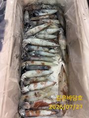 [제주 깊은바당호] 7월 26일 한치 조황입니다 사진