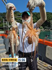 돌문어 7월 13일 조황 사진
