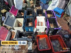 7월 12일 돌문어조황 사진
