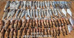[민어] [나로도 외수질 시즌!] 대형민어, 붉바리 사이즈~마릿수 호조황!! [금,일 자리여유~문의010-4848-0776] 사진