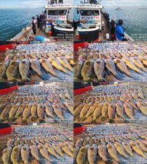  ♥붉바리들..이정도는 잡아봐야지요 붉바리조황입니다[2026년07월29일] ◎ 해마루호가 뜨는이유? 조황때문이죠 ◎ 핵심포인트: 바로진입.. 바로히트.. ▣ 차원이 다른 조황으로 모십니다 ▣ 요즘 붉바리낚시가 대세입니다 사진